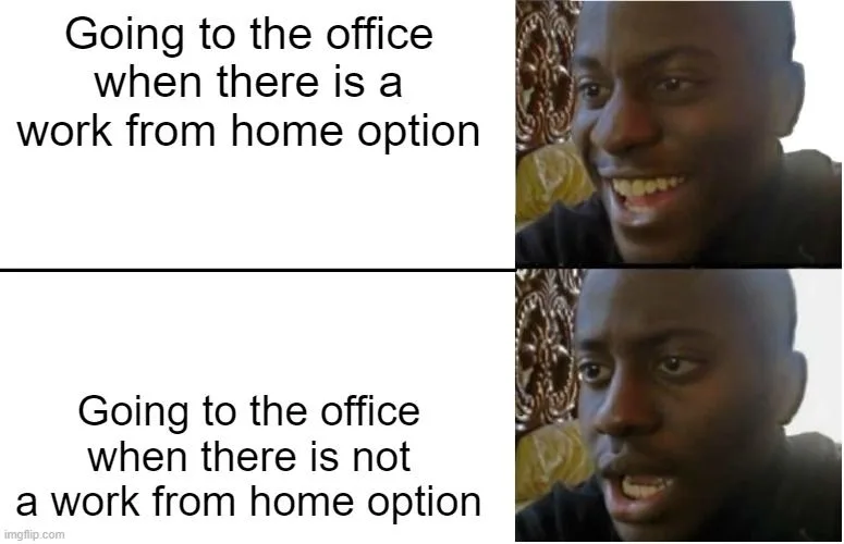 Remote Work Memes