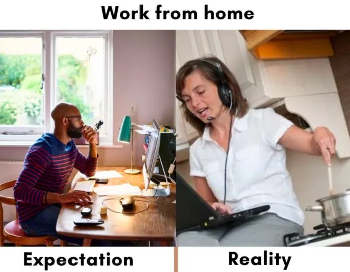 WFH Expectation vs. Reality Meme