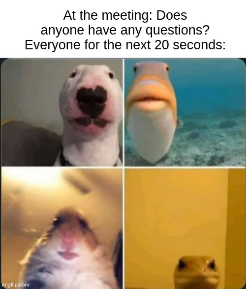 Silent Zoom Meeting