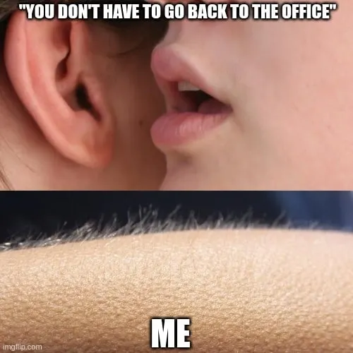 Return to office meme